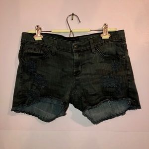 James Jeans Shorty Black Camo Jean Shorts